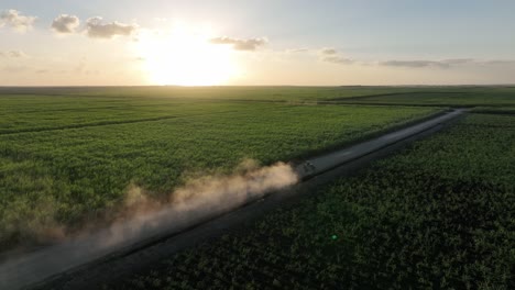 Vista-Aérea-Siguiendo-Un-Tractor-Desempolvando-En-Medio-De-Plantas-De-Caña-De-Azúcar.