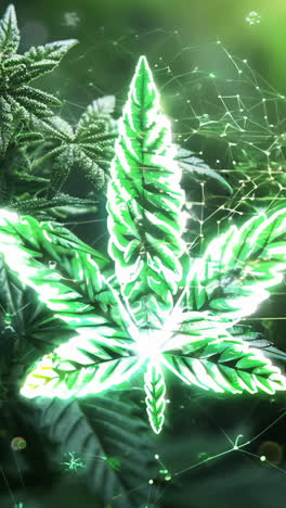 a green plant with a bunch of leaves and a bunch of small circles. the circles are in the background and are not the main focus of the image