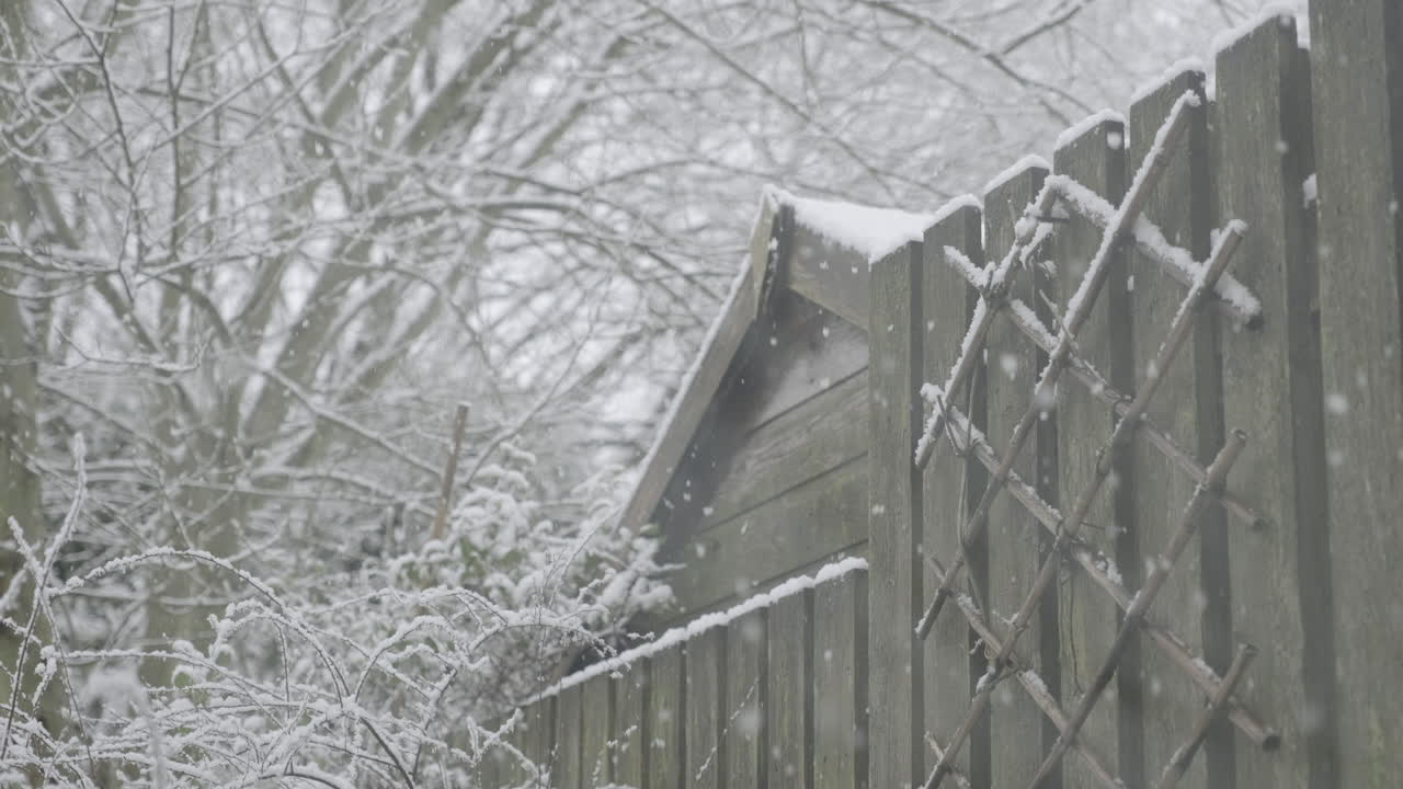 웨스트 요크셔의 전통 영국식 정원에 있는 헛간 앞에 눈이 내립니다.