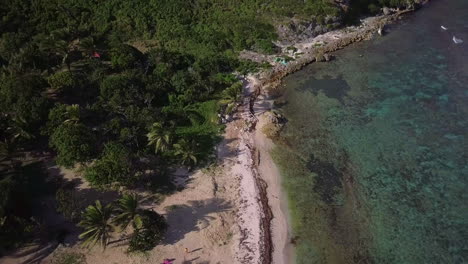 aérea, volando sobre una playa de arena con palmeras