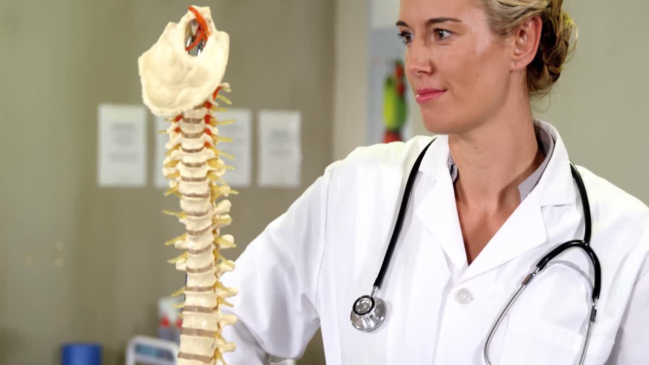 fisioterapeuta mirando el modelo de la columna vertebral