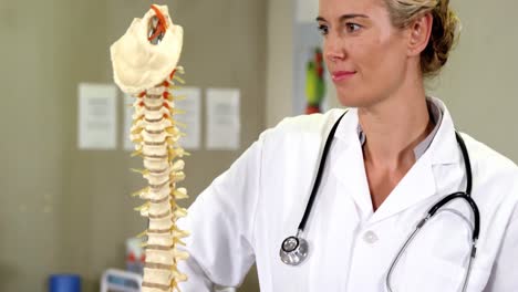 physiotherapist looking at  spine model