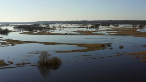 drone aerial dolley shot over the calm nature with biebrza river in a sunny day