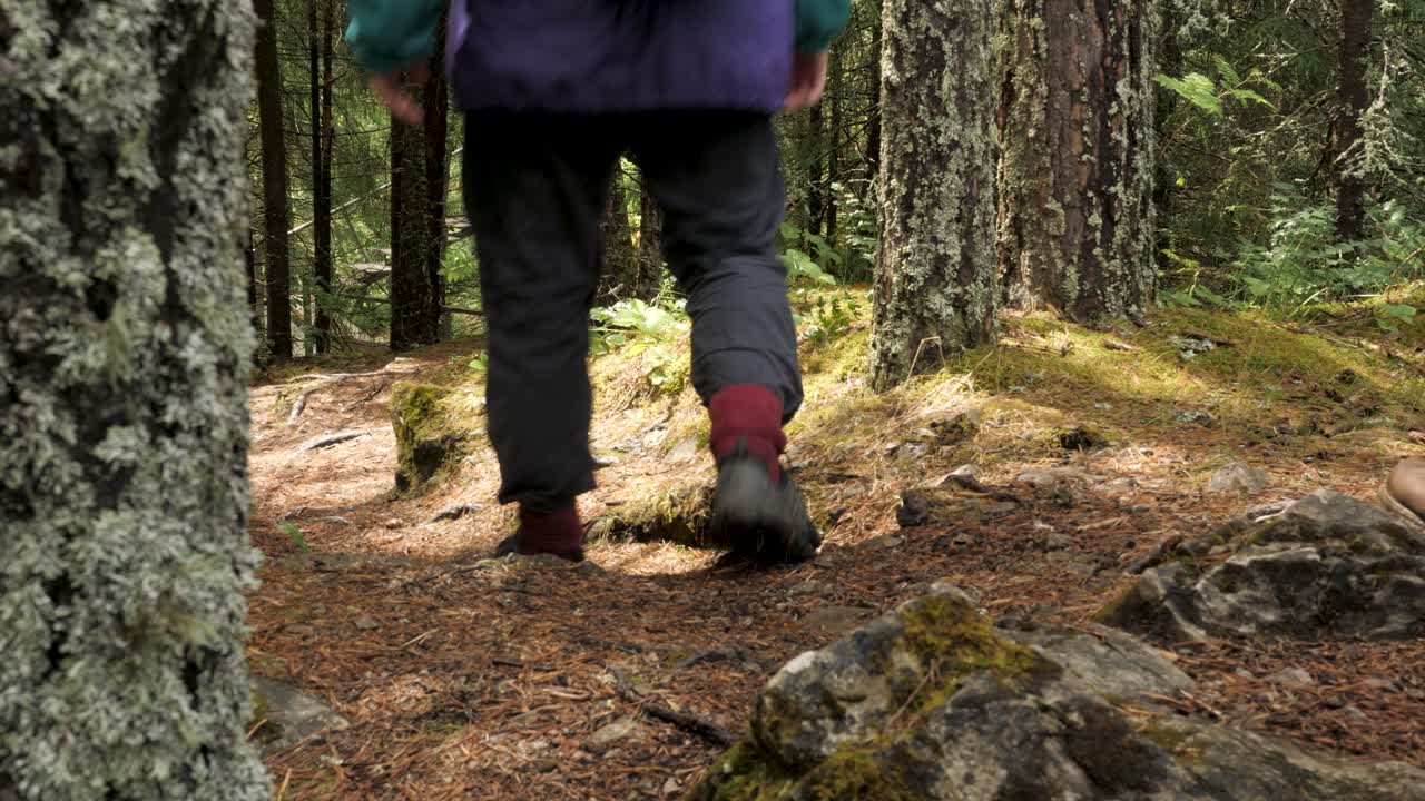 숲에서 산책하는 사람들