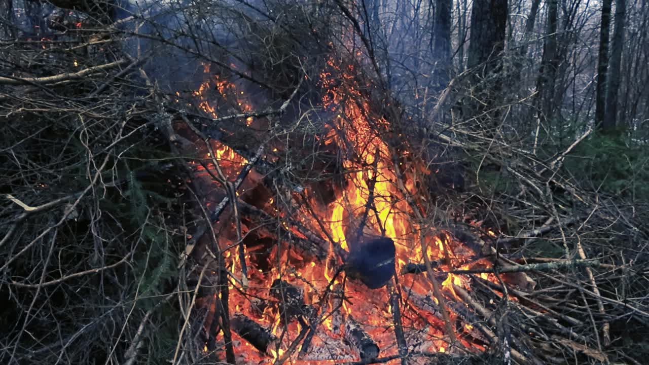 Twigs, branches and woodland debris burning in a large bonfire in a autumn or a winter cold evening or dusk forest in slow motion with vibrant colorful orange and red flames creating embers and smoke.
