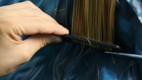 hair dresser is dyeing hair of beautiful woman in barber shop