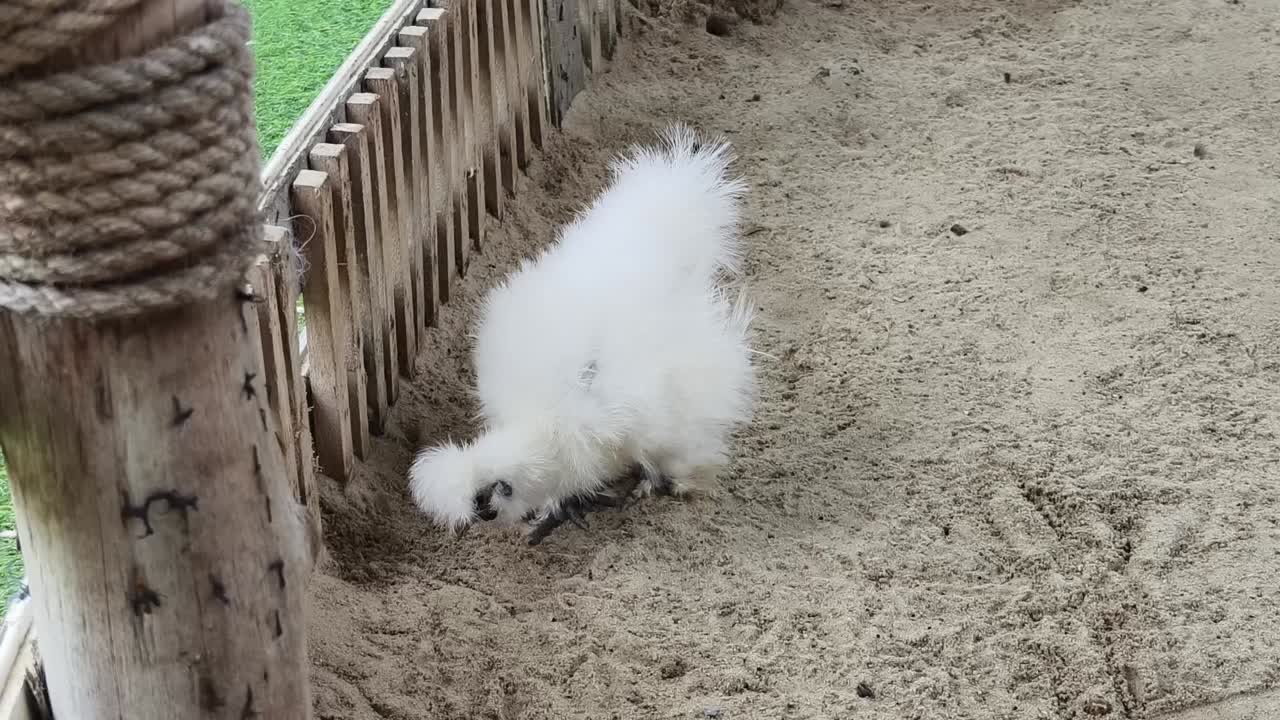 모래 에 있는 색