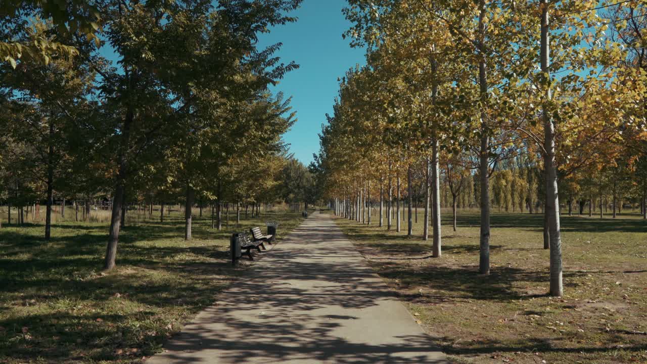 caminando solo en medio del parque en otoño, montpellier - francia