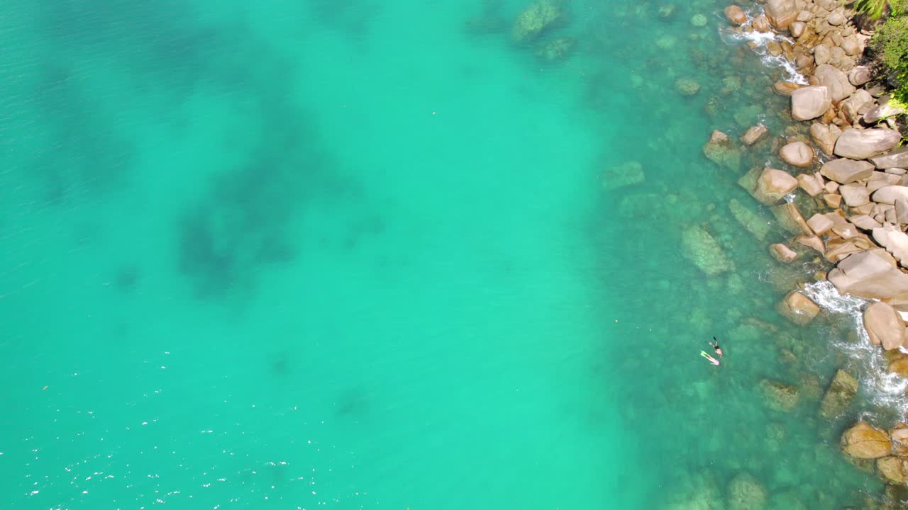 그라나이트 돌 근처에서 수영하고 스노클링하는 고객의 드론 영상, 나무에 둘러싸인, 은 물, 안스 루이스, 마헤 세이, 30fps 2