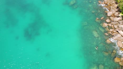 drone footage of clients swimming and snorkelling near granite stones, surrounded by trees, turquoise water, anse louis, mahe seychelles 30 fps 2