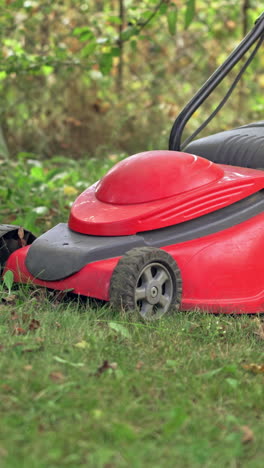 powerful red lawn mower. vertical video