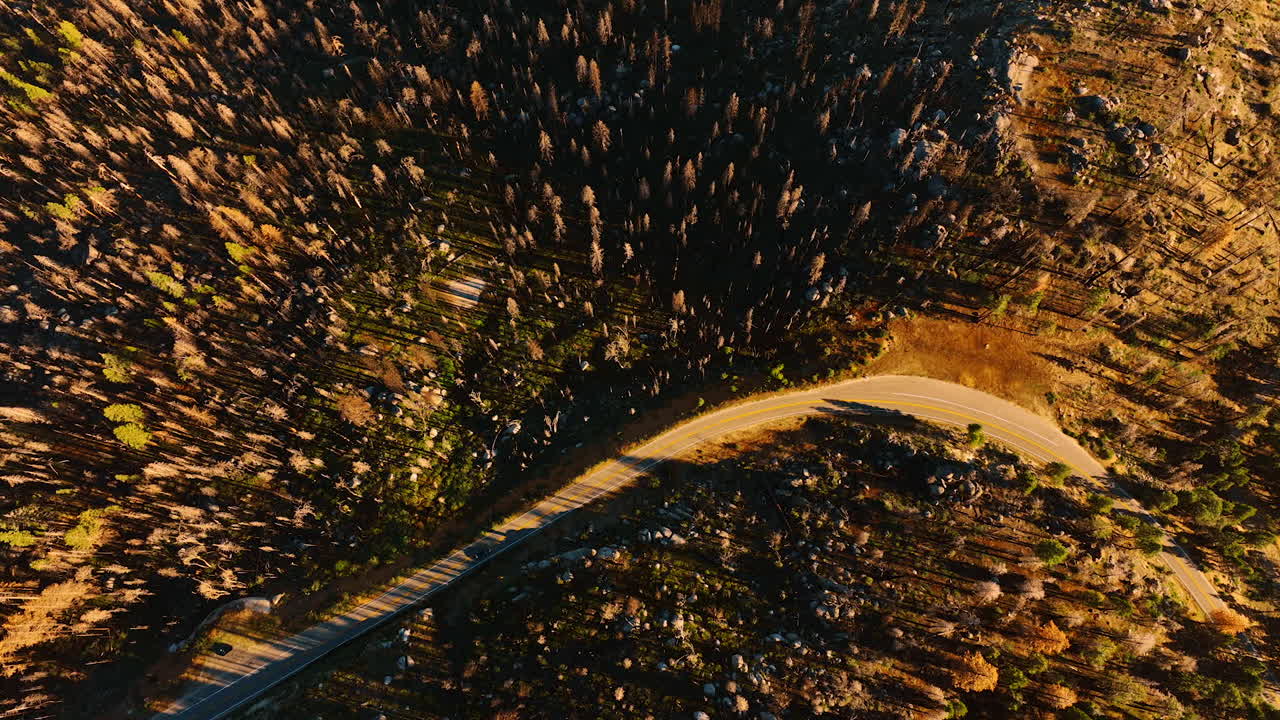 Car rides by the road going through the rocky territory overgrown with pine trees. Tourism in mountains. Top view.