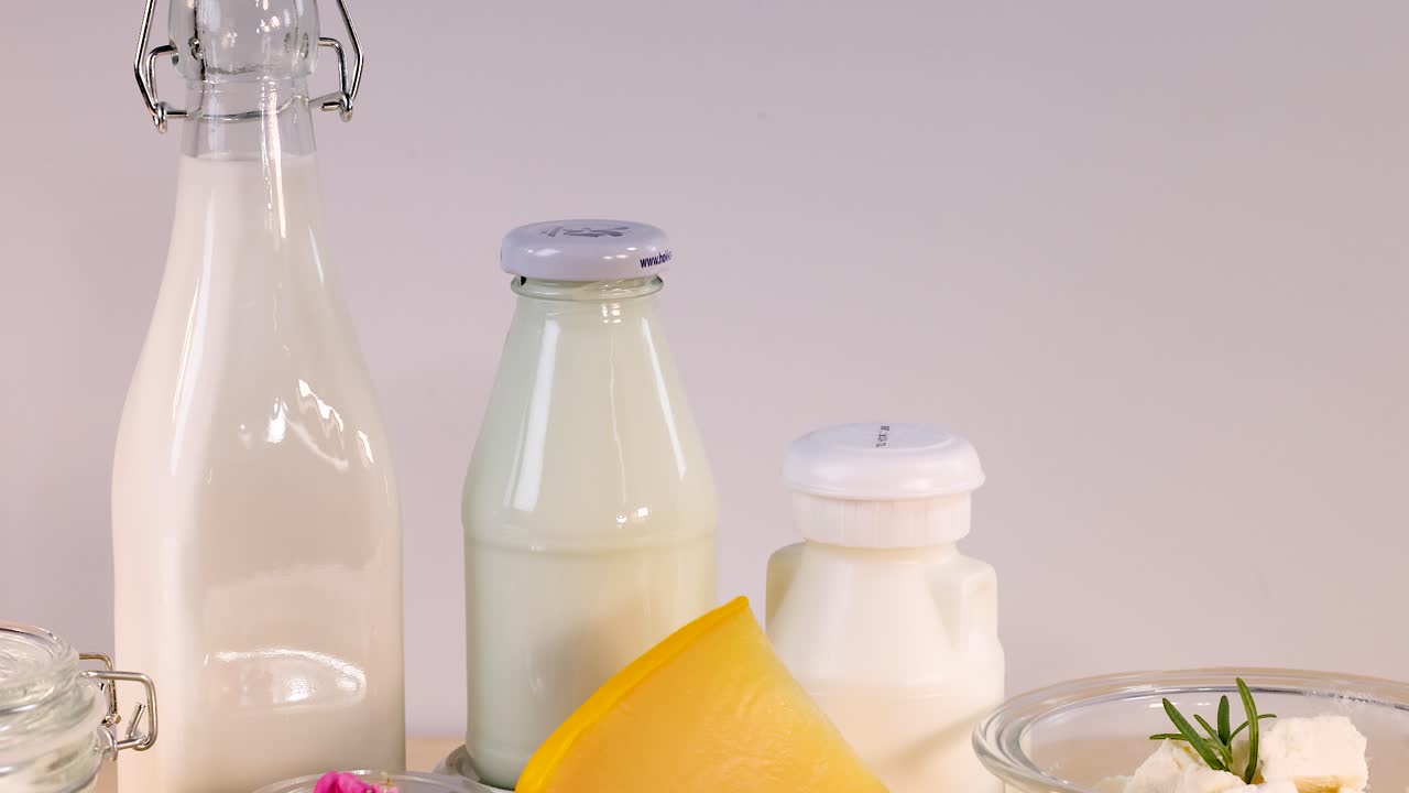 varios productos lácteos dispuestos sobre un fondo blanco