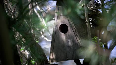 Caja-Nido-De-Bricolaje-Para-Pájaros,-Carboneros,-Colirrojos-Y-Otros-Pequeños-Paseriformes---Caja-Nido-Casera