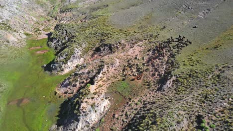 toma aérea de una manada de llamas, retírese para revelar un impresionante paisaje montañoso