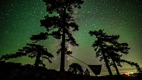 A-starry-sky-with-milky-way-behind-old-pine-trees-on-Mount-Olympos,-Cyprus