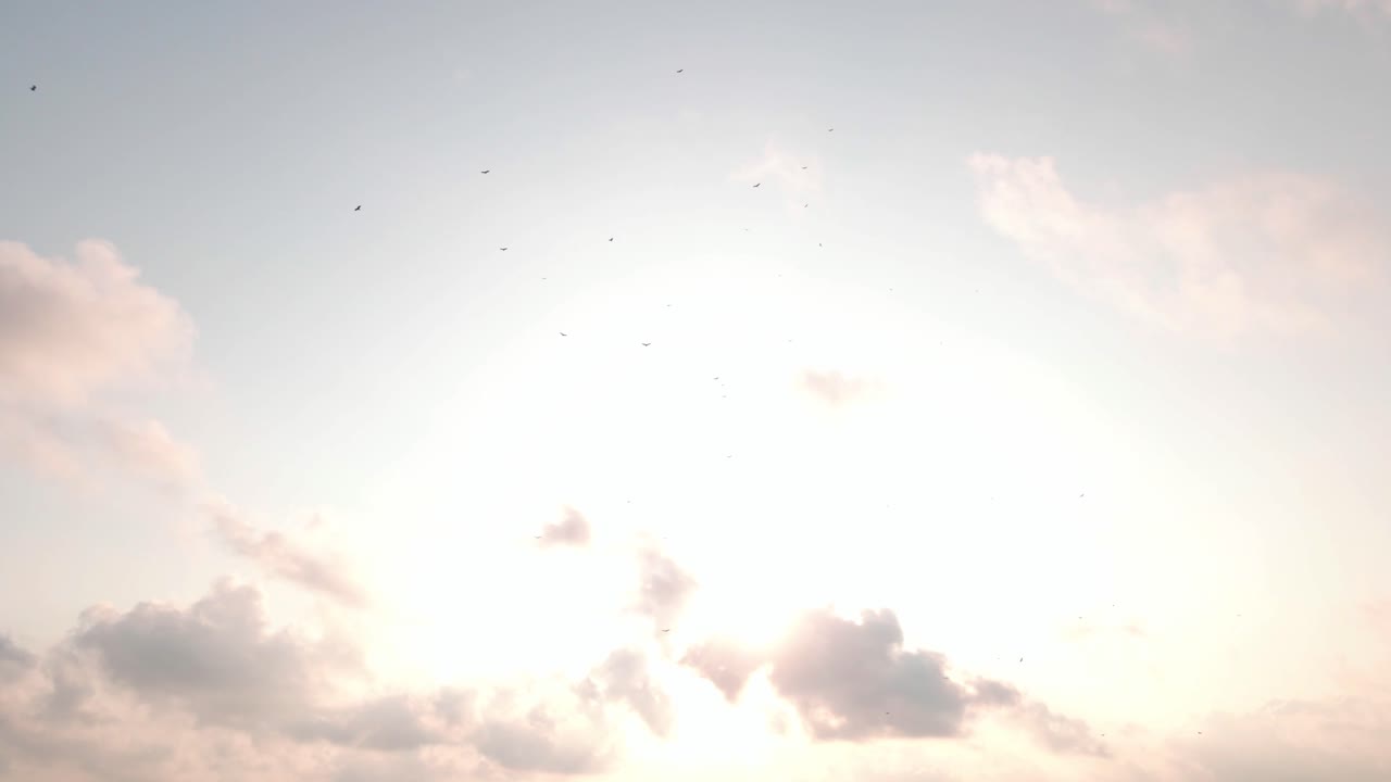 멕시코 베라 크루즈의 구름과 독수리