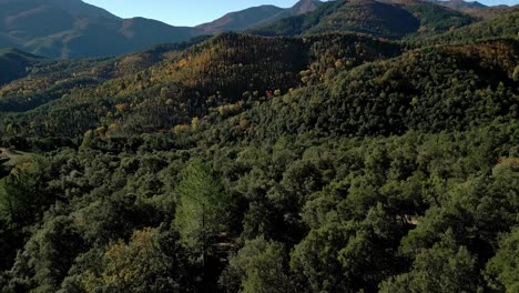 scenic drone travel landscape of green mountain trees foliage, blue skyline peak in arbucies, girona, spain