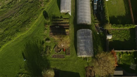 parte superior aérea hacia abajo de un jardín de hortalizas con polytunnels junto a la carretera principal