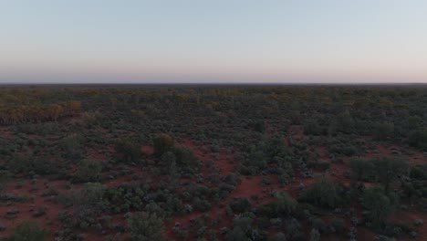 Clip-De-Drone-Sobre-El-Salvaje-Interior-De-Australia-Temprano-En-La-Mañana