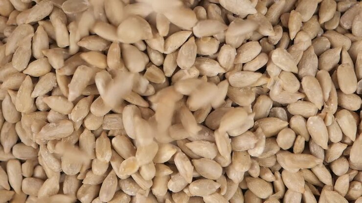 Close Up of Shelled Sunflower Seeds Falling and Mixing