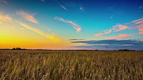 El-Brillo-Azul-Amarillo-De-La-Hora-Dorada-Retrocede-Hacia-Un-Cielo-Más-Oscuro-Sobre-Los-Campos-De-Trigo,-Lapso-De-Tiempo