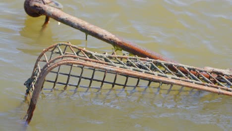 shopping cart, old and rusted, partially submerged in murky river water