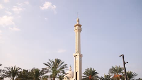 clean-modern-minaret-above-palm-trees-in-small-coastal-town-of-La-Mina-near-Tripoli,-Northern-Lebanon