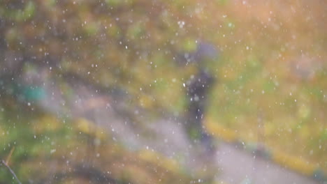 nieve cayendo contra un fondo de otoño desenfocado