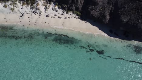 An-aerial-zoom-out-from-Balandra-beach-looking-out-over-turquoise-waters-and-cliffs-in-Baja-California-Sur,-La-Paz,-Mexico