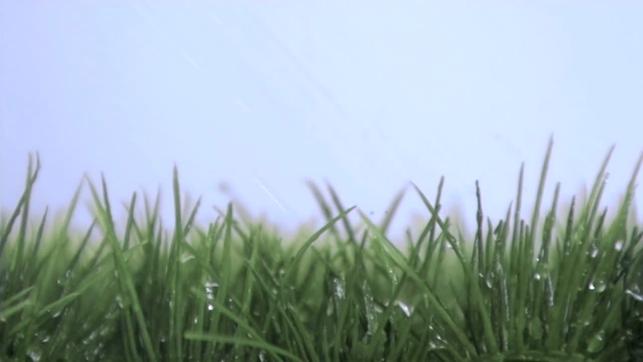 풀 위에 아주 느린 속도로 떨어지는 물