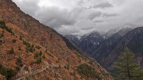 picturesque trekking route in lower langtang valley: gorgeous forest pathways and snowy peaks