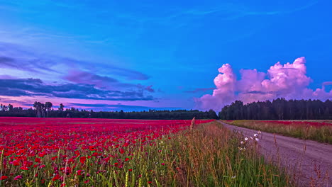 Lapso-De-Tiempo-Mágico-De-Nubes-Moradas-Esponjosas-Que-Se-Mueven-En-El-Cielo-Azul-Con-Un-Lecho-De-Flores-Rojas-Rojas-Y-árboles-Debajo