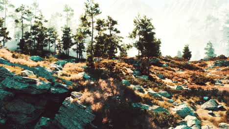 misty mountain forest landscape