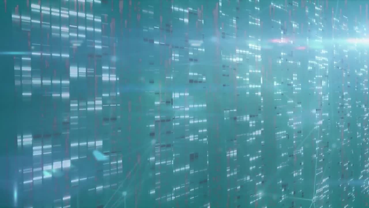 animación de la red de conexión y procesamiento de datos a través de servidores.