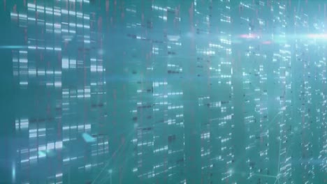 animazione della rete di connessione e elaborazione dei dati su server.
