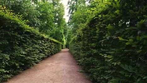 Hyperlapse-Durch-Ein-Wunderschönes-Grünes-Heckenlabyrinth-An-Einem-Sonnigen-Frühlingstag