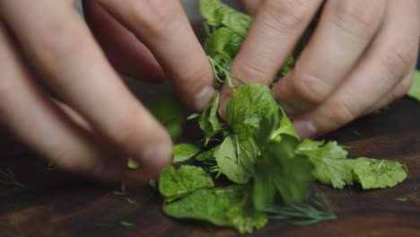 ingredientes de hierbas rodantes antes de cortar en una tabla cortada en la cocina