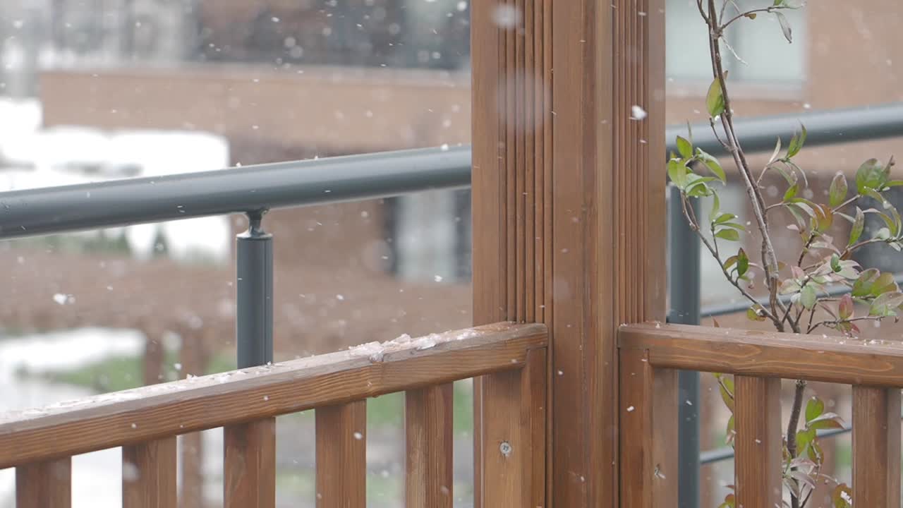 Snowy Day at the Pergola