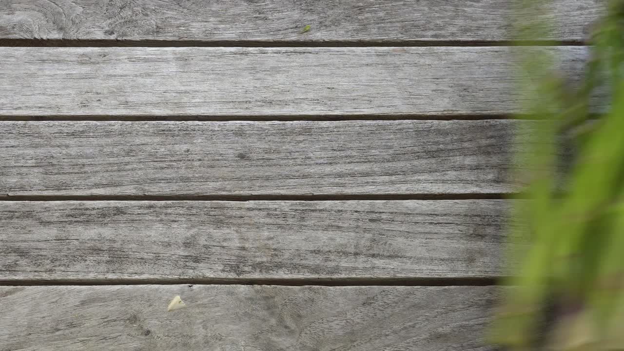 신선한 녹색 아스파라거스 다발이 나무 테이블에 떨어지는 영상