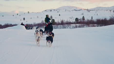 Zwei-Husky-Schlittenhundeteams-Ziehen-Einen-Schlitten-Durch-Die-Norwegische-Schneelandschaft