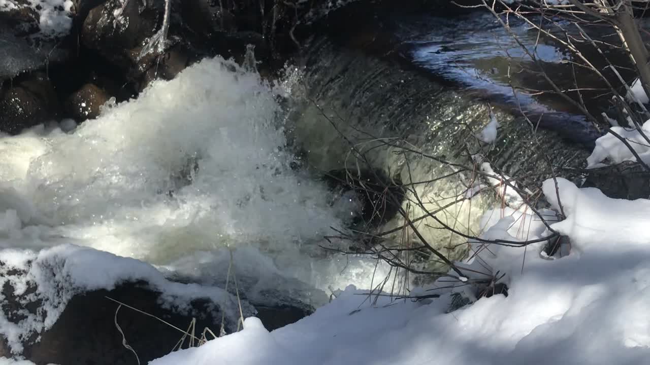 Melting snow and ice flowing down the forests of the Sierra Nevada mountains