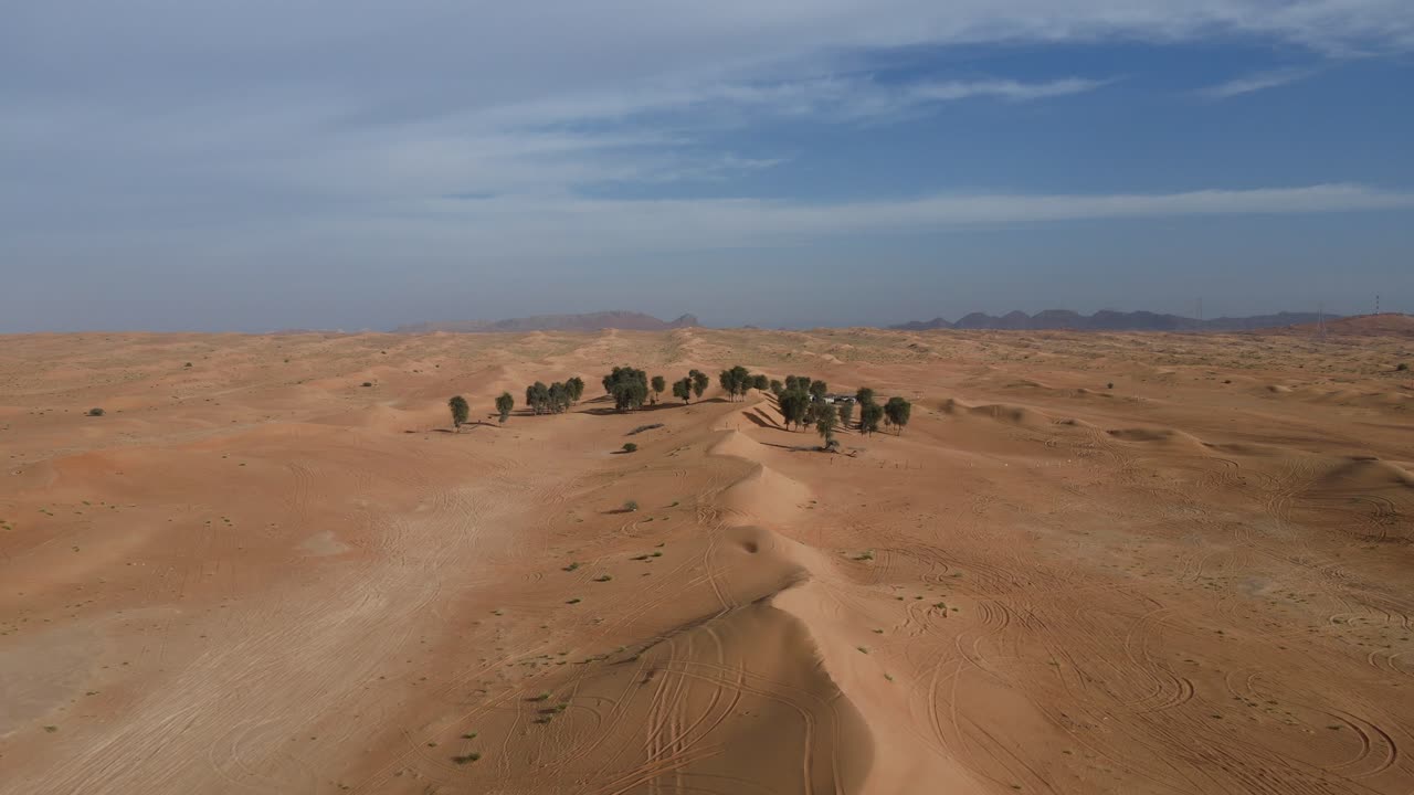 VISTA DALL'ALTO: Deserto con sabbia dorata e alberi negli Emirati Arabi Uniti