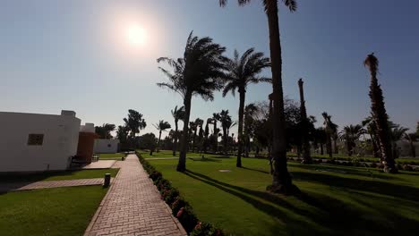 A-paved-pathway-lined-with-vibrant-pink-flowers-meanders-through-a-lush,-verdant-lawn-dotted-with-towering-palm-trees-swaying-gently-in-warm-breeze,-leading-towards-white-washed-villas-Dahab-Lagoon