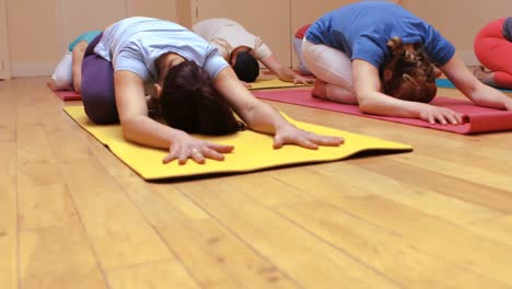 group of people performing yoga