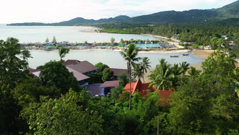 drone ascending over exotic palm trees approaching ban tai pier in koh pha-ngan district, thailand