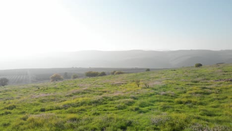 low flying backwards green meadow landscape golan heights morning fog - israel