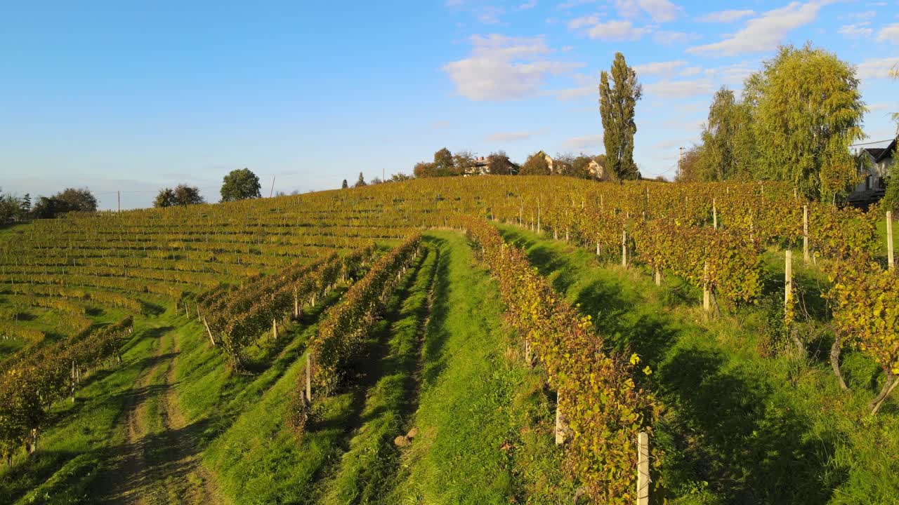 аэрофотосъемка 4k с беспилотника кога во время восхода солнца