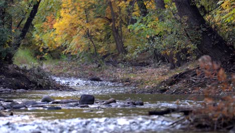 Colores-De-Otoño-A-Lo-Largo-Del-Arroyo-Boulder