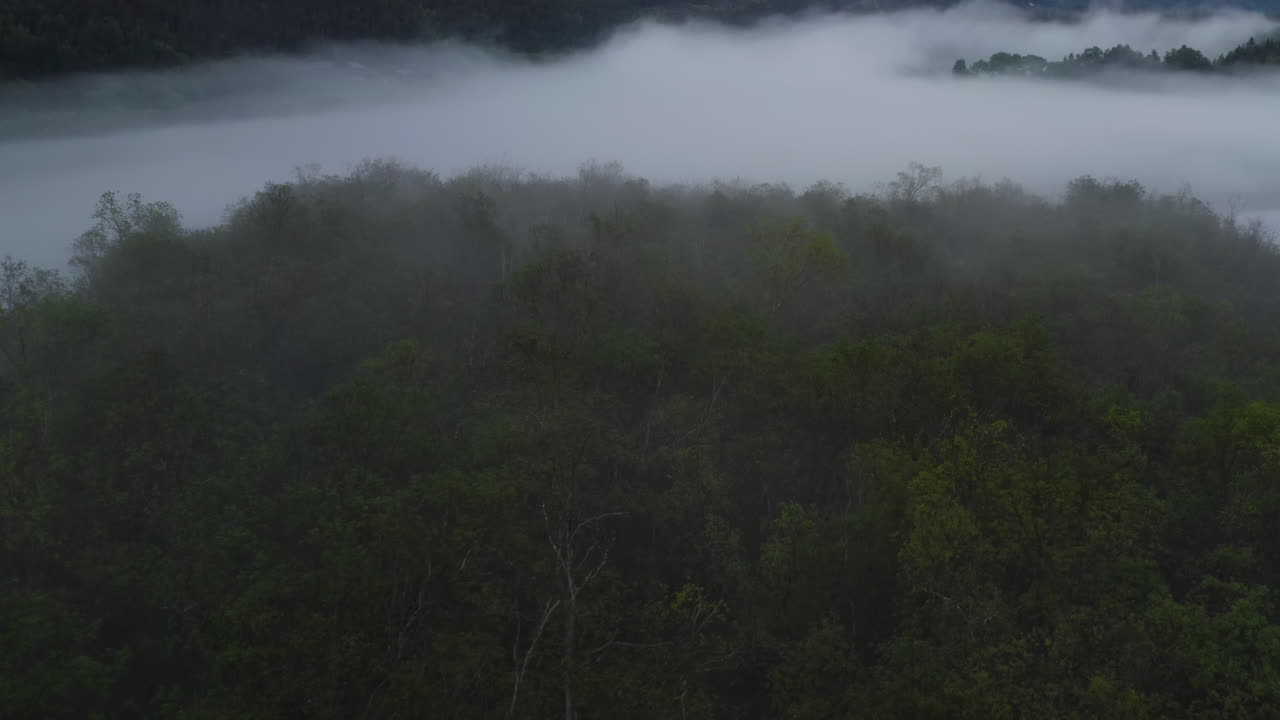 Flight over a foggy river. The mist is hanging low over the landscape creating a dark mystical mood over the whole scene